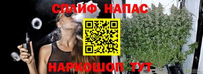 mdpv Малоярославец